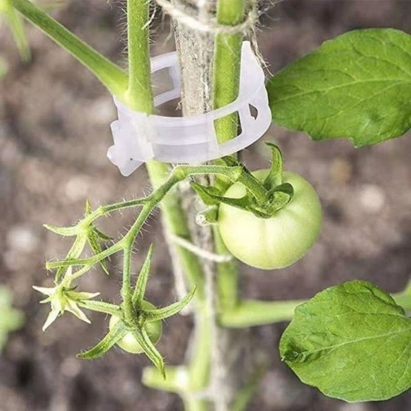 Clip di Supporto per Piante in - Vine Climbing Plastic recensione e prezzo