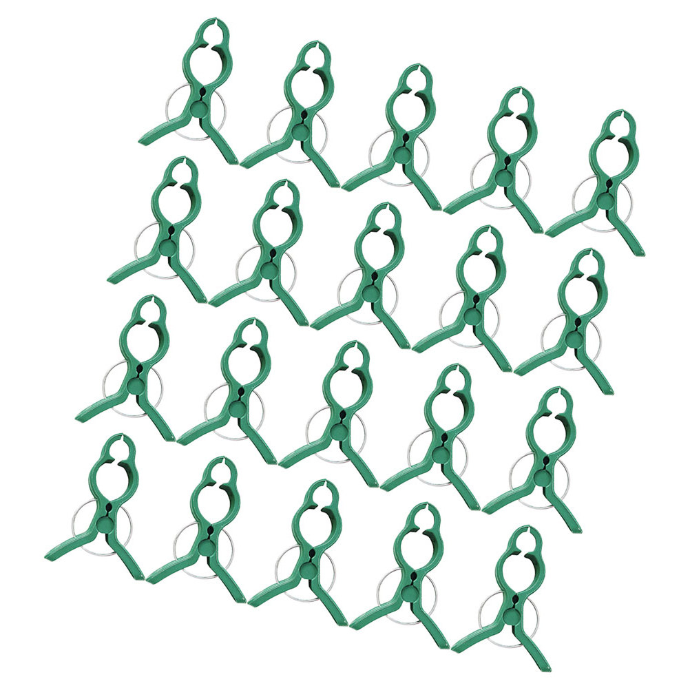 60 pezzi di clip per piante da - Vine Climbing Plastic recensione e prezzo